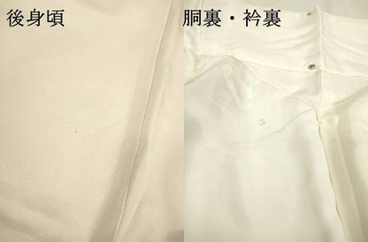平和屋着物▼訪問着 手描き 枝花 牡丹 暈し染 正絹 逸品 DABC6738fe