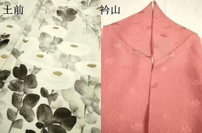 平和屋着物▼訪問着 手描き 菊 暈し染 金彩 正絹 逸品 DABC6740fe