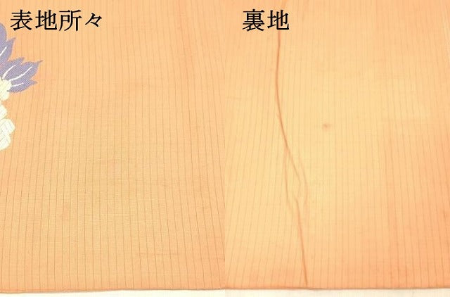 平和屋着物＊夏物　アンティーク　大正ロマン　六通柄　京袋帯　唐織　花車文　金銀糸　正絹　逸品　DABC8112cm