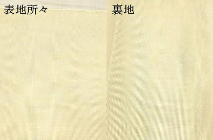 平和屋着物＊夏物 六通柄 本袋帯 立波飛鳥芝文 金糸 正絹 逸品 DABC8114cm