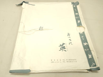 平和屋着物＊夏物　西陣　川島織物　洗える最高級着物　＜英＞はなぶさ謹製　六通柄　京袋帯　芝文　たとう紙付き　DABC8219cm