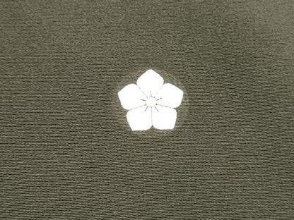 平和屋着物■豪華黒留袖 手描き 刺繍 孔雀草花文 暈し染め 金銀彩 正絹 逸品 DABC8266cm