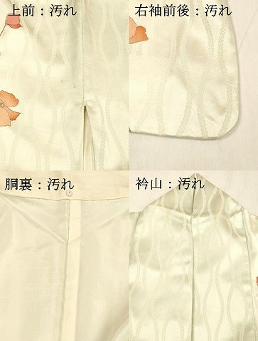 平和屋着物■訪問着 枝花文 金彩 正絹 逸品 DABC8623cm