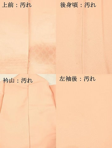 平和屋着物■色留訪問着 流水草花文 暈し染め 正絹 逸品 DABC8624cm