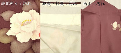 平和屋着物■訪問着 草花文 正絹 逸品 DABC8701cm