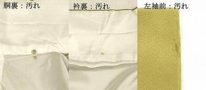 平和屋着物■上質な小紋 枝花文 金彩 正絹 逸品 DABC8732cm
