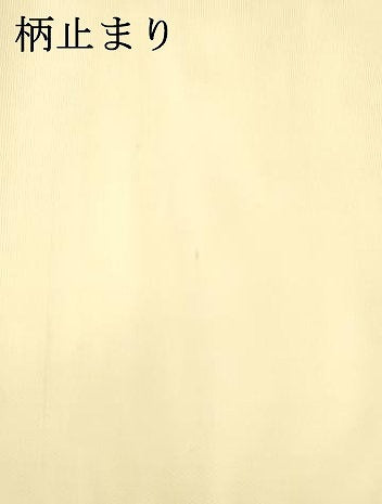 平和屋着物＊夏物 六通柄袋帯 草葉文 金銀糸 正絹 逸品 DABC8868cm