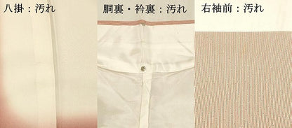 平和屋着物■江戸小紋 竹間道 正絹 逸品 DABC8894cm