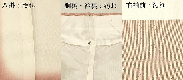 平和屋着物■江戸小紋 竹間道 正絹 逸品 DABC8894cm
