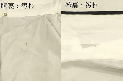 平和屋着物■本場大島紬　地紙花鳥文　正絹　逸品　未使用　DABC8901cm