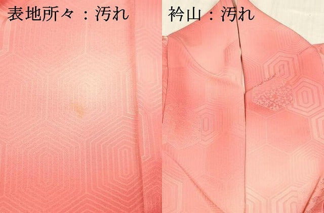 平和屋着物■上質な小紋 亀甲草花文 暈し染め 正絹 逸品 DABC8913cm