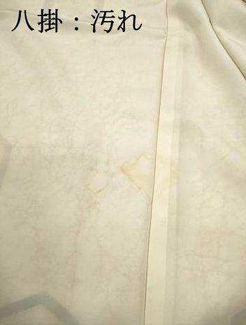 平和屋着物■訪問着 亀甲花文 金彩 正絹 逸品 DABC9034qa