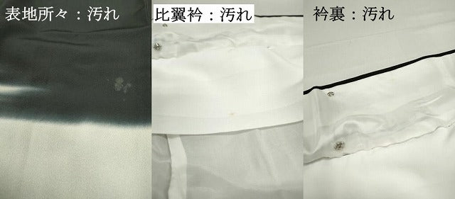 平和屋着物■豪華黒留袖　駒刺繍　枝松文　暈し染め　金銀彩　正絹　逸品　DABC9083qa
