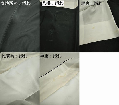 平和屋着物■豪華黒留袖 流水地紙花文 暈し染め 金銀彩 正絹 逸品 DABC9237qa