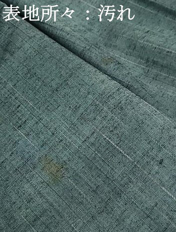 平和屋着物■上質な紬　霞文　正絹　逸品　DABC9279qa