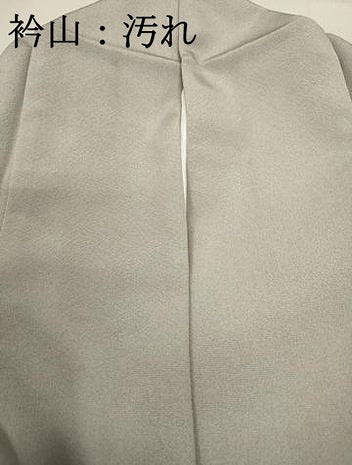 平和屋着物■訪問着　舞花文　金彩　正絹　逸品　DABC9298qa