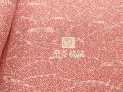 平和屋着物■伝統工芸士 染谷梅治　江戸小紋　霞芝文　正絹　逸品　DABC9334qa