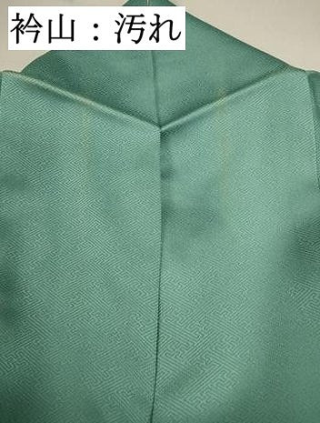平和屋着物■訪問着 螺鈿 枝花文 暈し染め 金彩 正絹 逸品 DABC9379qa