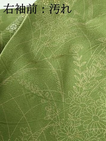 平和屋着物■訪問着 駒刺繍 草花文 金銀彩 正絹 逸品 DABC9504qa