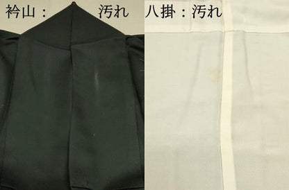 平和屋着物■訪問着 人物風景花松文 金彩 正絹 逸品 DABC9648qp