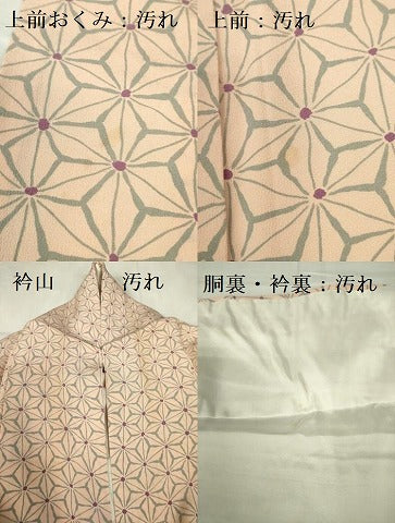平和屋着物■上質な小紋 麻の葉文様 正絹 逸品 DABD0394op