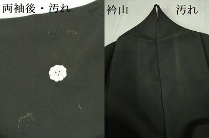 平和屋着物■豪華黒留袖　友禅　作家物　風景文　正絹　逸品　DABD0426op
