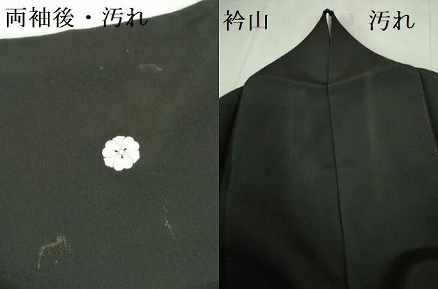 平和屋着物■豪華黒留袖　友禅　作家物　風景文　正絹　逸品　DABD0426op