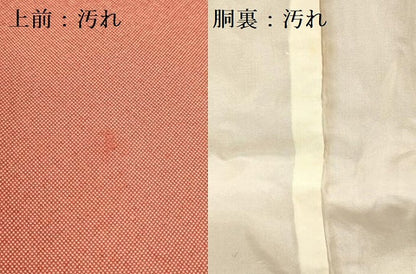 平和屋着物■江戸小紋 伝統工芸師 服部光擴 伊勢型錐彫 行儀 正絹 逸品 DABD0647op