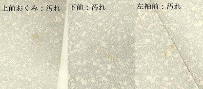平和屋着物■訪問着 草花 たたき染め 鬼しぼ縮緬 正絹 逸品 DABD0742op