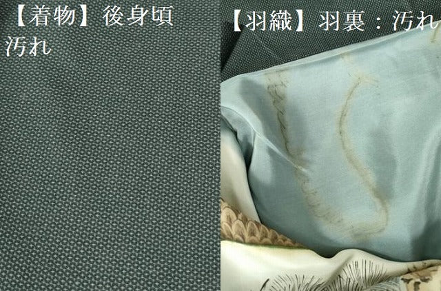 平和屋着物■男性 お召 アンサンブル 亀甲柄 正絹 逸品 DABD0956op