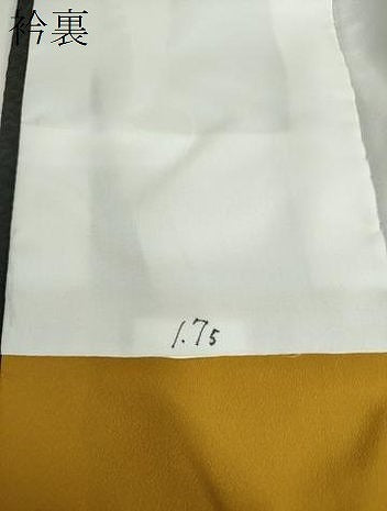 平和屋着物●小振袖　二尺袖　薔薇　金彩　洗える着物　DABD1046ps