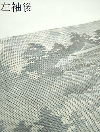 平和屋着物●都喜ヱ門　本場大島紬　白大島　9マルキ　総絣　樹林風景　さが美扱い　藤絹織物謹製　正絹　逸品　DABD1851ps