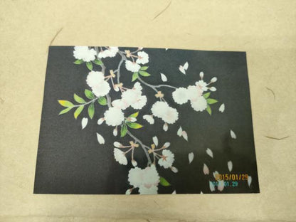 平和屋着物●極上　銀座もとじ　つけ帯　友禅　舞桜　鬼しぼ縮緬　たとう紙付き　正絹　逸品　DABD1975ps