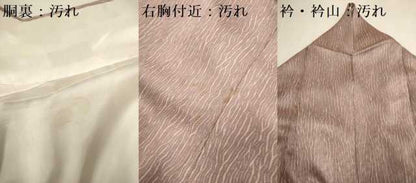 平和屋着物■訪問着 刺繍 吹き寄せ文 金彩 正絹 逸品 DABD2273du
