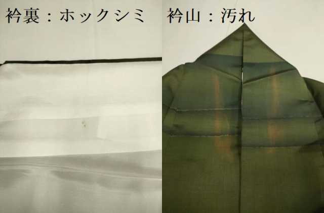 平和屋着物■訪問着 本場染大島紬 横段文 正絹 逸品 DABD2360du