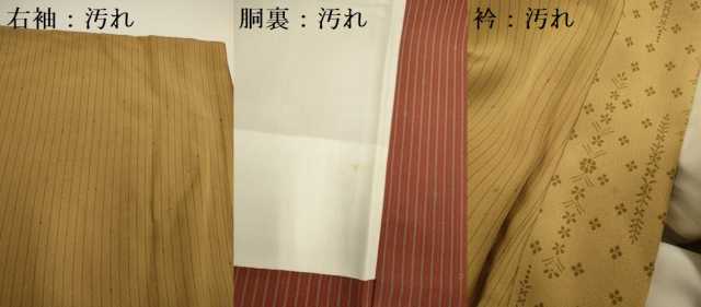 平和屋着物■訪問着 草花間道 正絹 逸品 DABD2429du