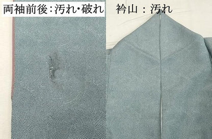 平和屋着物■江戸小紋　鮫小紋柄　正絹　逸品　DABD2540cd