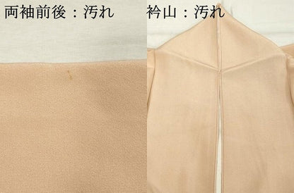 平和屋着物■訪問着 枝花文 正絹 逸品 DABD2653cd