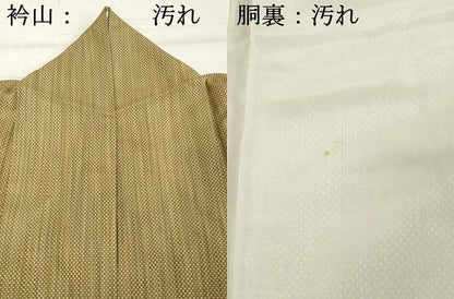 平和屋着物■上質な紬 霞文 正絹 逸品 DABD2658cd