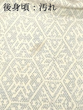 平和屋着物■本塩沢紬　亀甲花文　正絹　逸品　DABD2698cd