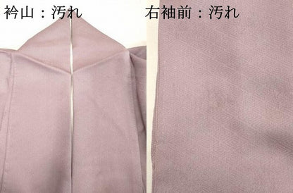 平和屋着物■豪華色留袖　人物風景文　金彩　正絹　逸品　DABD2717cd