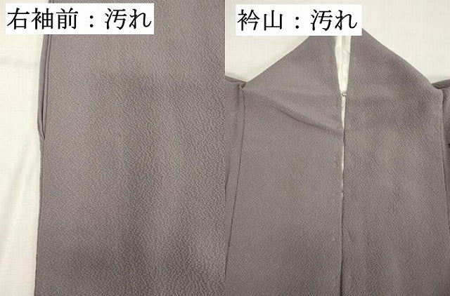 平和屋着物■訪問着 手描き 花蝶文 金彩 正絹 逸品 DABD2727cd