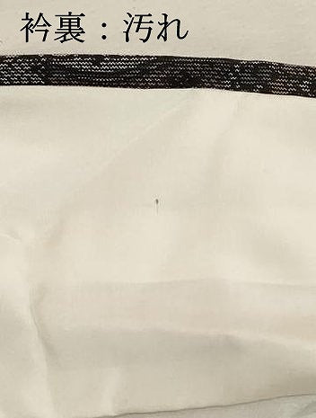 平和屋着物■上質な紬　吉祥花文　正絹　逸品　DABD2828cd