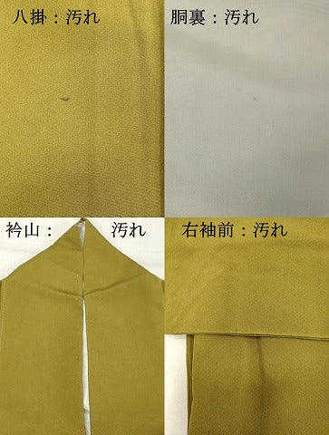 平和屋着物■訪問着 舞花文 金彩 正絹 逸品 DABD2848cd