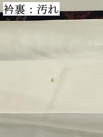 平和屋着物■上質な紬 舞花文 正絹 逸品 未使用 DABD2912cd
