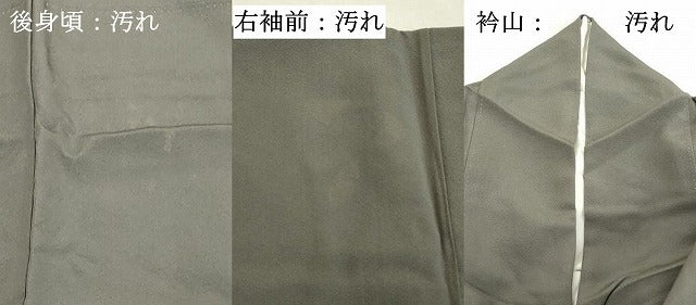 平和屋着物■訪問着 竹屋町刺繍 休み鳥 金彩 正絹 逸品 DABD2961cd