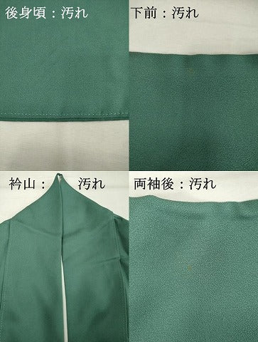 平和屋着物■上質な小紋 舞花文 金銀糸 正絹 逸品 DABD2963cd