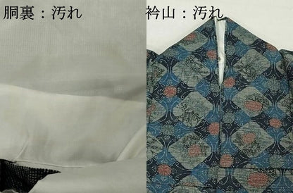 平和屋着物■上質な紬 舞花文 正絹 逸品 DABD2965cd