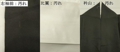 平和屋着物■豪華黒留袖 作家物 飛鶴松文 童子 暈し染め 金彩 正絹 逸品 DABD2979cd