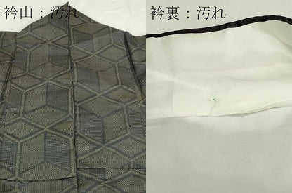 平和屋着物■本場大島紬　亀甲文　正絹　逸品　DABD3107sf